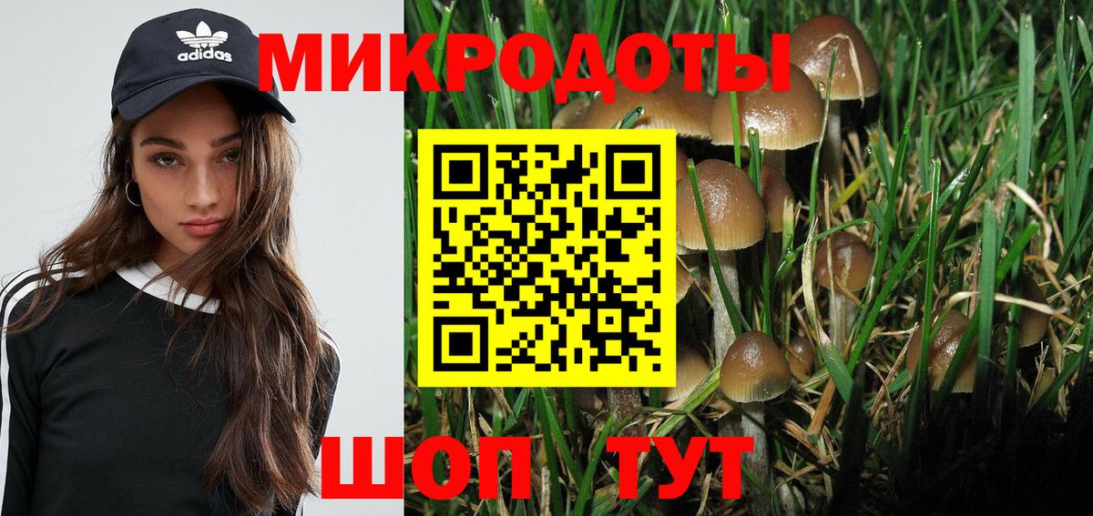 Галлюциногенные грибы Cubensis  Вход с VPN  Галлюциногенные грибы мицелий  Асино 