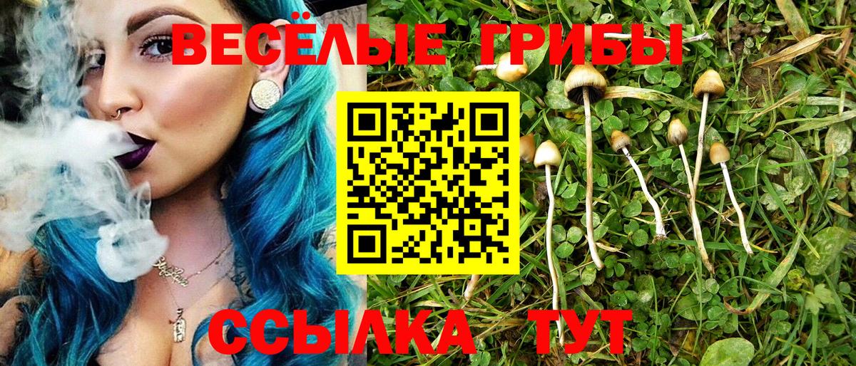 Псилоцибиновые грибы Magic Shrooms Асино