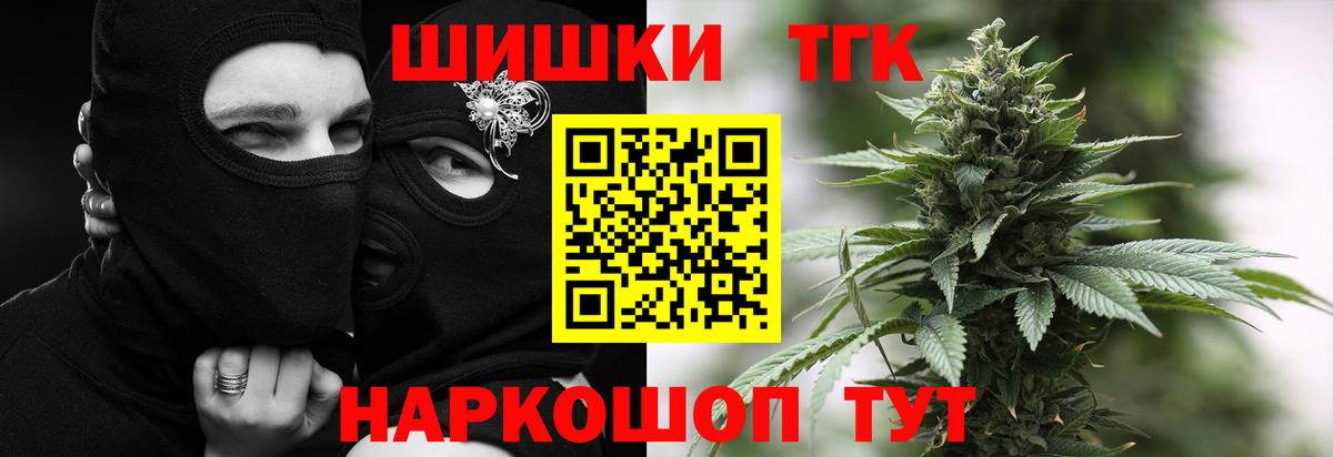 Бошки Шишки планчик Асино